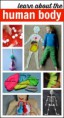 /album/projetos-de-ciencias/ciencias-e-o-corpo-humano-jpg/